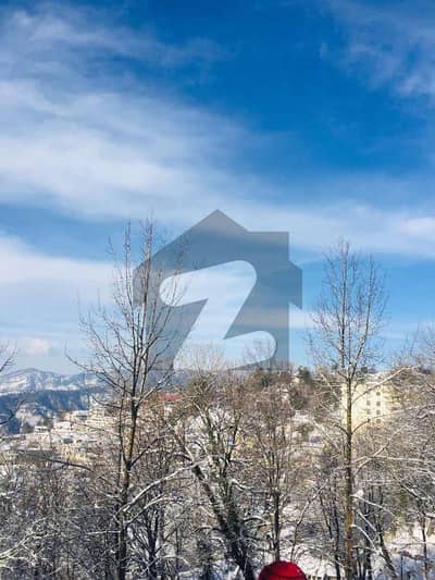 House Is Available For Rent