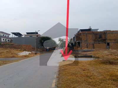 10 Marla Solid Land Corner Plot | Fully Developed Street | Block C