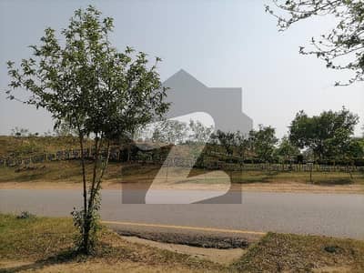 G-11/1 Residential Plot Sized 1250 Square Feet Is Available