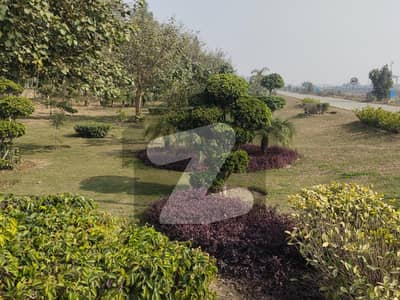 ایل ڈی اے سٹی ایل ڈی اے روڈ,لاہور میں 10 مرلہ رہائشی پلاٹ 70.0 لاکھ میں برائے فروخت۔