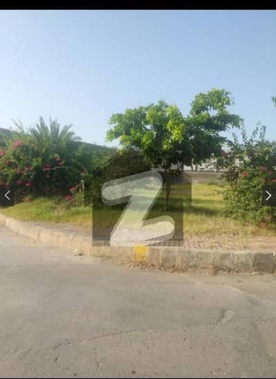 Bahria Hamlet Phase 8 Main Blvd Corner + 16 Marla Extra Land | Facing DHA Phase 3