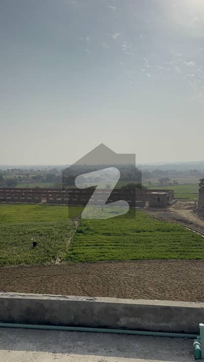 لاہور اسلام آباد موٹروے چکوال میں 44 کنال زرعی زمین 4.0 کروڑ میں برائے فروخت۔