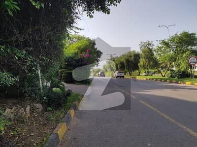 ایف ۔ 11/1 ایف ۔ 11,اسلام آباد میں 1 کنال رہائشی پلاٹ 12.0 کروڑ میں برائے فروخت۔