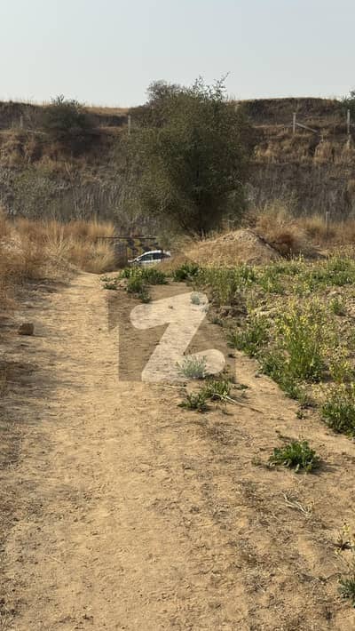 نیلہ دلہ انٹرچینج ایم-2 لاہور اسلام آباد موٹروے,چکوال میں 70 کنال زرعی زمین 4.2 کروڑ میں برائے فروخت۔