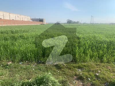 8 kanal Industrial Land for sale