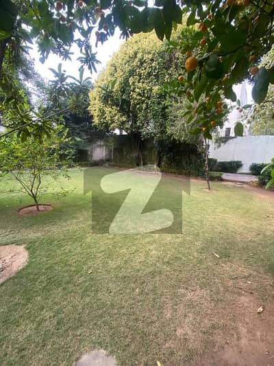 1000 Sq. Yds House for Rent in F-8, Islamabad | 4 Bedrooms (Attached Baths) | 5-Car Parking | Servant Quarter | Rent: USD 3,000 (PKR 840,000)