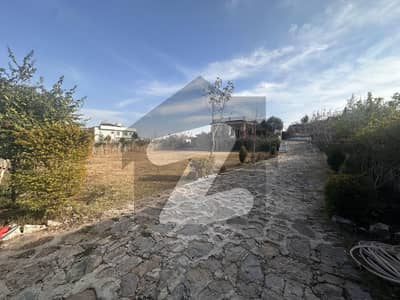 شاہ اللہ دتہ اسلام آباد میں 3 کمروں کا 3 کنال فارم ہاؤس 2.0 لاکھ میں کرایہ پر دستیاب ہے۔