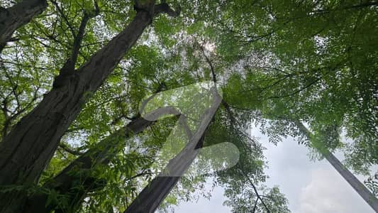 10 MARLA LDA APROVED POSSESSION PLOT FOR SALE NEAR BY PINE AVENUE AND RING ROAD LAHORE