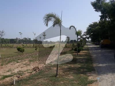 8 Kanal Residential Plot For Grabs In Cantt
