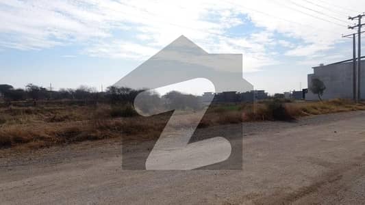 8 Maral Level Corner Plot on Main boulevard | 1 Kannal Extra Land