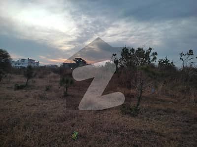 Plot for sale in D12/2