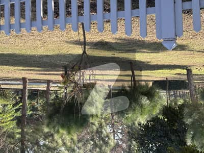 1 kanal solid and level land plot at very prime location