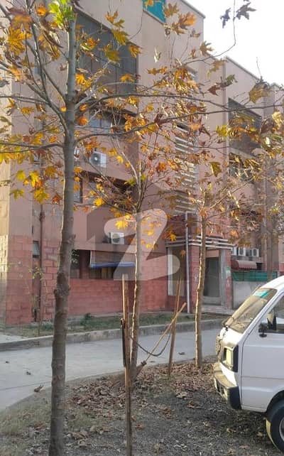 D-Type G11/3 Near Ibn-e-Sina Road 1st Floor Fully Renovated Flat Available For Sale