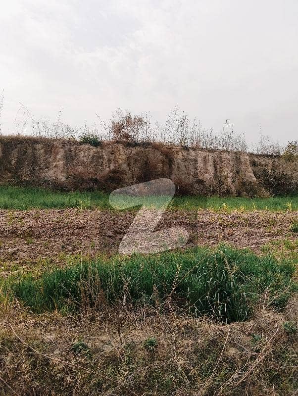 آئی ۔ 14/2 آئی ۔ 14,اسلام آباد میں 7 مرلہ رہائشی پلاٹ 1.57 کروڑ میں برائے فروخت۔ آئی ۔ 14/2 آئی ۔ 14,اسلام آباد میں 7 مرلہ رہائشی پلاٹ 1.57 کروڑ میں برائے فروخت۔