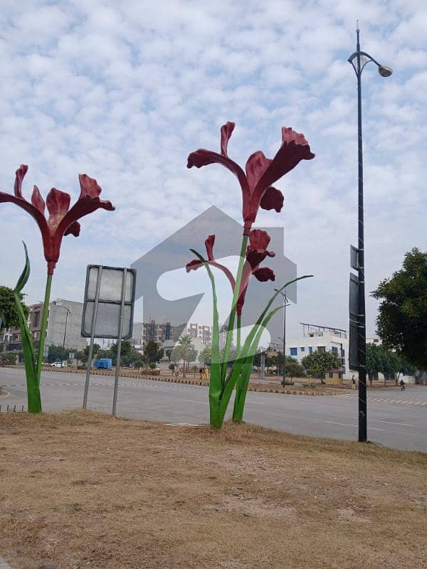 F11/2 islamabad F11/2 islamabad