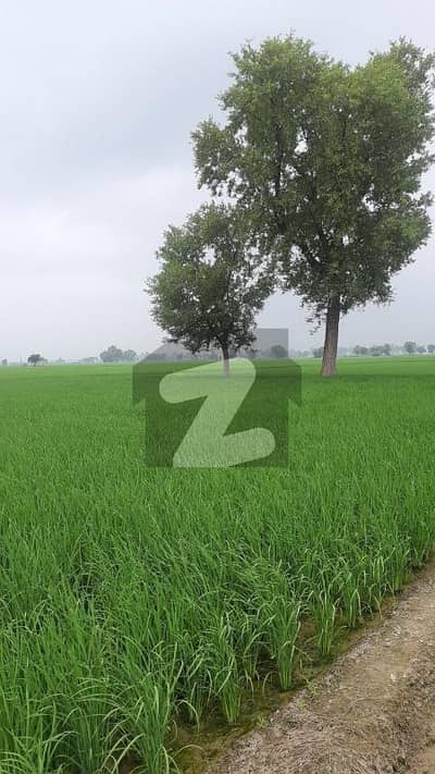 36 Acre Agricultural land for sale in DHA phase 10