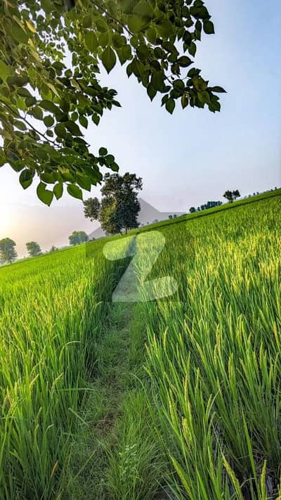 36 Acre land for sale in DHA phase 10