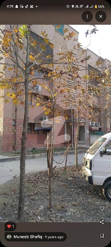 E-Type FGEHA G11 Flat Available For Sale