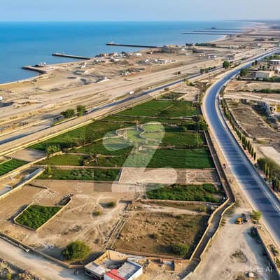 5 Acres Agricultural Land for Sale Mouza Darbela Shumali