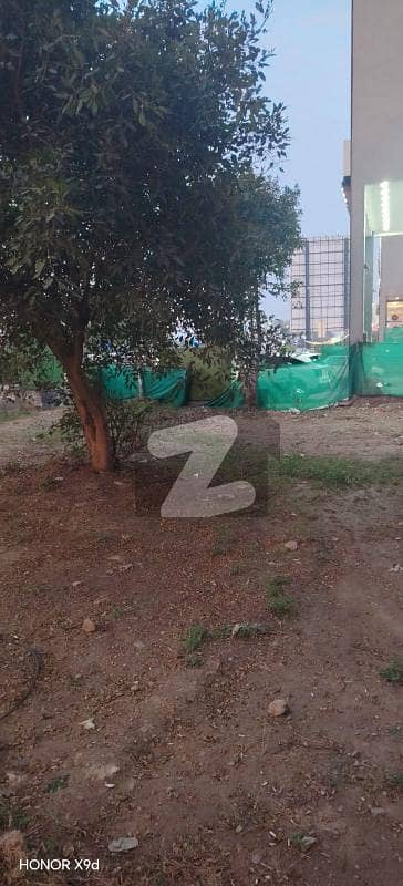 owner going abroad 5 marla plot for sale in investor price