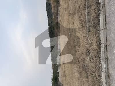 Back Jungle View Plot