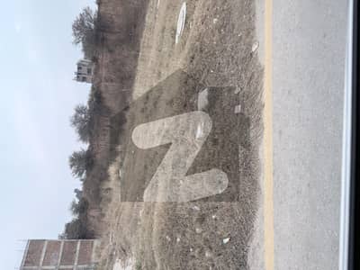 Boulevard Corner 6.5 Marla