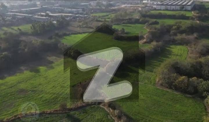 D 13 plot 50 D 13 plot 50