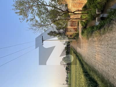 فیروزپور روڈ لاہور میں 67 کنال زرعی زمین 3.0 کروڑ میں برائے فروخت۔