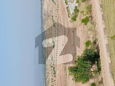 DHA phase 7 Sector Rose 8 Marla Plot Heighted Location All dues clear