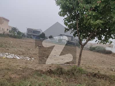 1Kanal Nearly Possession Less Market Rate On ground Roads Developed Plot