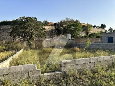 5 Marla Plots For Sale In Shah Allah Ditta Major Makhdoom Society