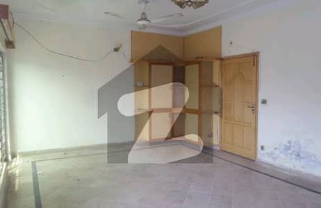 Aesthetic Lower Portion Of 14 Marla For rent Is Available