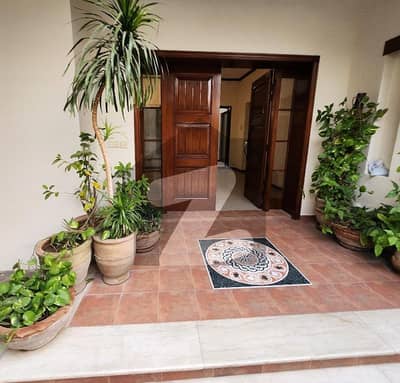 Luxurious House with Swimming Pool