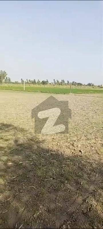 سوءے آصل لاہور میں 8 کنال زرعی زمین 5.2 کروڑ میں برائے فروخت۔