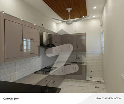 7 Marla like brand new house for rent in G-15