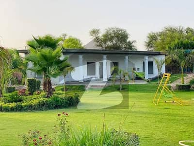 گوجرانوالہ روڈ شیخوپورہ میں 6 کنال گودام 1.75 لاکھ میں کرایہ پر دستیاب ہے۔