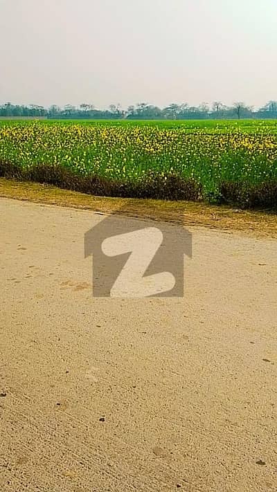 Prime Agriculture Land Ideal for Farmhouse & Farming