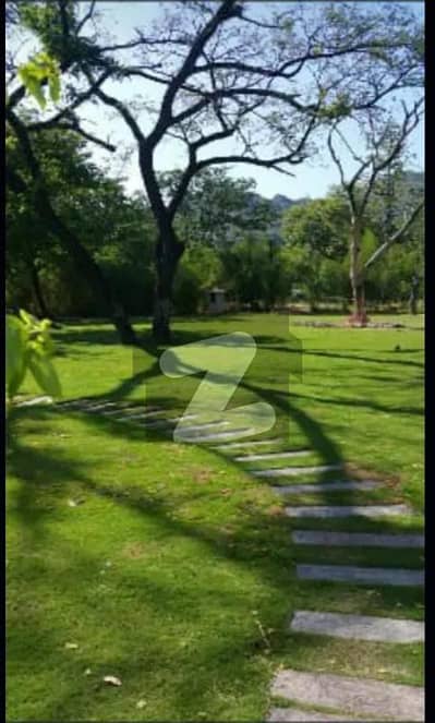 Investor Alert F8 Size 100160 1777 Square Yead Fully Renovated House 6Bedrooms with attached Bathroom Drawing and Dining TV Lounge