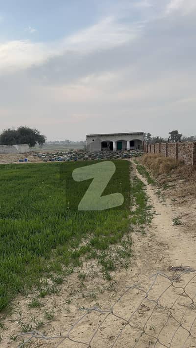 دیگر چکوال میں 28 کنال زرعی زمین 2.38 کروڑ میں برائے فروخت۔