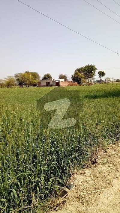 بیدیاں روڈ لاہور میں 8 کنال رہائشی پلاٹ 6.0 کروڑ میں برائے فروخت۔