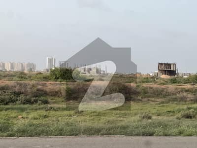 1000 Sq Yards Residential Plot for Sale Sangar Housing Scheme Gwadar (Plot C-13)