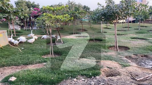 اینڈلیب کوآپریٹو ہاؤسنگ سوسائٹی سکیم 33,کراچی میں 8 مرلہ رہائشی پلاٹ 1.7 کروڑ میں برائے فروخت۔ اینڈلیب کوآپریٹو ہاؤسنگ سوسائٹی سکیم 33,کراچی میں 8 مرلہ رہائشی پلاٹ 1.7 کروڑ میں برائے فروخت۔