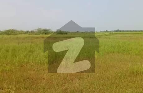 بیدیاں روڈ لاہور میں 4 کنال زرعی زمین 80.0 لاکھ میں برائے فروخت۔