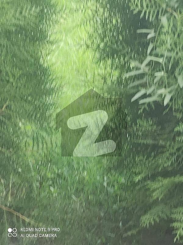 Lavel , Near road Lavel , Near road