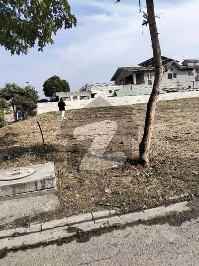 OUT CLASS LOCATION PLOT 82. ROAD 3. SECTOR D SOLID LEVEL PLOT FOR SALE