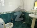 20 