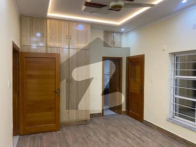 4 Marla Triple Storey House For Rent