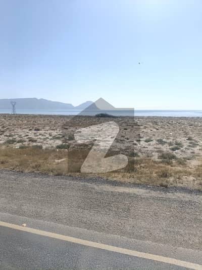 اورمارا گوادر میں 8 کنال کمرشل پلاٹ 1.3 کروڑ میں برائے فروخت۔ اورمارا گوادر میں 8 کنال کمرشل پلاٹ 1.3 کروڑ میں برائے فروخت۔