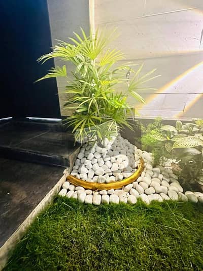 سوساں روڈ فیصل آباد میں 1 کنال کمرشل پلاٹ 19.0 کروڑ میں برائے فروخت۔