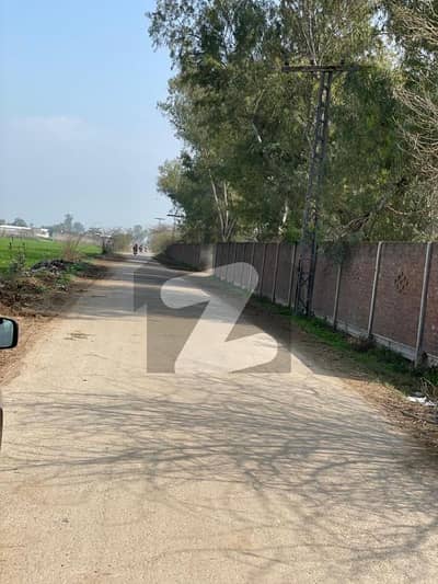 بیدیاں روڈ لاہور میں 19 کنال زرعی زمین 5.9 کروڑ میں برائے فروخت۔